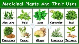 Medicinal Plants And Their Uses  25 Ayurvedic Plants Names  Medicinal Herbs  औषधीय पौधे  Plants