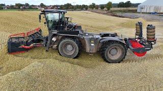 CLAAS XERION 4200 SADDLE TRAC auf dem SILO & JCB XERION 2002 & CLAAS XERION 3300 bringen Nachschub