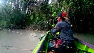 tak menyangka udang galah babon monster terciduk di ujung waktu mancing udang galah terbaru