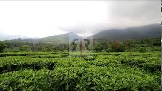 Raw Free Stock Footage  - Tea Mountain Timelapse