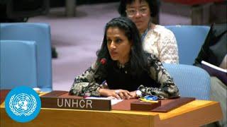 Human Rights for Refugees & Migrants UNHCR New York Briefing  Security Council  United Nations