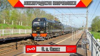 Самое цветастое направление РЖД. Поезда на Ленинградском направлении от рассвета до полудня