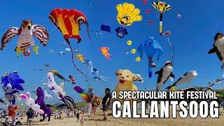 🪁️ MEGA VLIEGERS OP HET STRAND IN CALLANTSOOG  A SPECTACULAR KITE FESTIVAL 2024 CALLANTSOOG BEACH