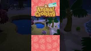 What the #acnh #animalcrossing #animalcrossingnewhorizons