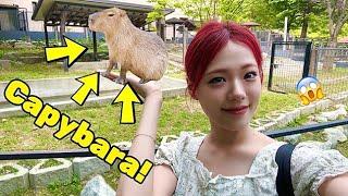 VLOG EP.26 YUE  I Need a capybara in my life