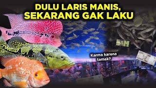 KENA KARMA? 5 IKAN HIAS AIR TAWAR YANG DULU FAVORIT KINI MULAI DITINGGALKAN