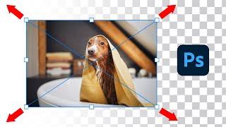 How To Resize Layers In Photoshop Without Losing Quality