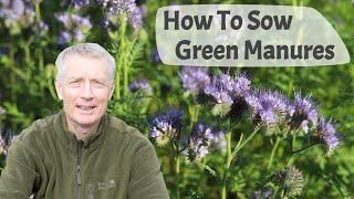 How To Sow Green Manures -  Part 1 Advantages Of Growing  Different Types And Sowing Seed.