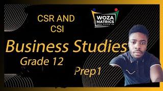 CSR AND CSI Business studies paper 2 grade 12