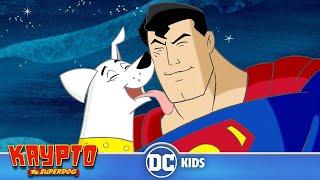 Krypto The Superdog en Latino   Una visita de Superman  DC Kids