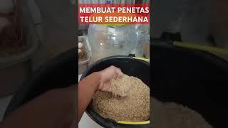 PENETAS TELUR SEDERHANA #shorts #pengusahamuda #penetasantelur #shortvideo