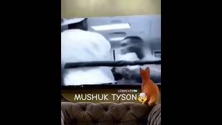 MUSHUK TAYSON