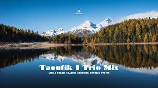 Trio Mix By @TaoufikOfficiel  I Like A Dream Chasing Memories Looking For Us  I Made In Morocco