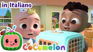La casa nuova di Cody   CoComelon Italiano - Canzoni per Bambini