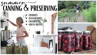 Summer Canning Inspiration  Preserving food  Canning Berries  Ideas for Preserving Cucumbers