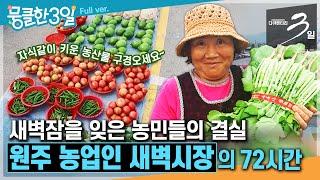 다큐3일⭑Full 직접 키운 농산물 판매도 직접  우리의 밥상을 풍요롭게 해 주는 이곳️ ‘원주 농업인 새벽시장의 72시간  KBS 방송