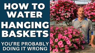 How to WATER Hanging Baskets - Youre Probably Doing It WRONG Learn How to Water Correctly