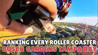 We ranked every Roller Coaster at Busch Gardens Tampa Bay