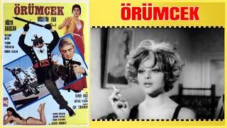 Örümcek  Hüseyin Zan Hülya Darcan  Yeşilçam Filmi Full İzle