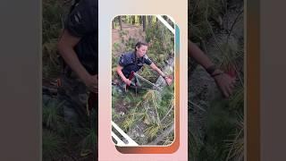 IRL Fieldcraft Sawing #basic #howto #uncivilizedvitality