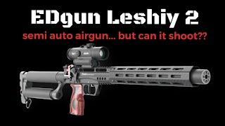 EDgun Leshiy 2 - Long Range Accuracy can it shoot??