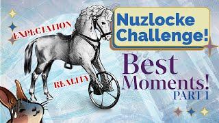 Reverse 1999 Nuzlocke Challenge Day 1 Best Moments Patch 1.4