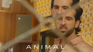 King Charles - Animal Official Video Visualiser