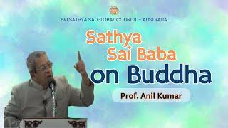  Sathya Sai Baba on Buddha  Prof. Anil Kumar #srisathyasai #anilkumar