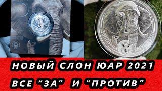  Cеребряная монета Cлон ЮАР 2021 года Серия Большая пятерка ЮАР 2.0 Elephant 2021 Big Five 2
