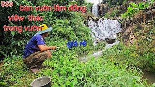 Nhà đất lâm đồng. 2ha3 viêw thác  viêw rừng thông Giá 4ty3 chủ có thương lượng ạ #batdongsan