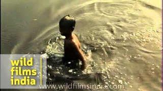 Kids bathing in the Yamuna river