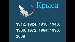 Год крысы гороскоп составленный психологом Натальей Кучеренко.