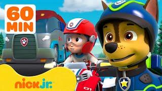 Patrulha Canina  Os MELHORES Resgates e Aventuras da Patrulha Canina   1 Hora  Nick Jr.