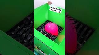 Puffer Ball VS Shredder   #shredder #shredding #satisfying #oddlysatisfying #satisfyingvideo #asmr