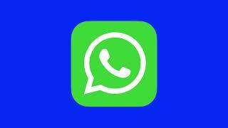 WhatsApp Icon - Logo Animated  Green Screen  Free Download  4K 60 FPS