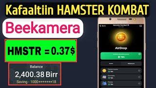 Kafaaltiin HAMSTER KOMBAT Beekamera  Qarshii Garii Argachuuf  HAMSTER KOMBAT Withdrawl 