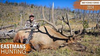 Big bull called into 15 yds Bow Hunting with Grizzlies and Wolves  Eastmans Beyond the Grid