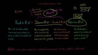 The Audit Risk Model