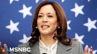 Would be really hard to challenge Harris for nomination if Biden steps down