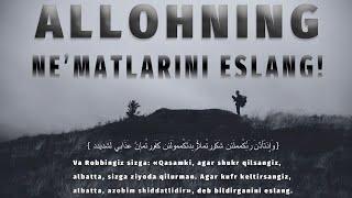 Allohning nematlarini eslang - Abu Yusuf Muhojir hafizahulloh