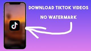 How to Download TikTok Videos Without Watermark for FREE No Apps Needed