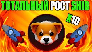 *ЭТО СЛУЧИЛОСЬ* Шитоши Кусама Запускает Shiba Inu 2.0 - Успей Получить ИКСЫ SHIB