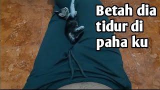 Tidur pun minta di sayang2