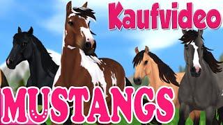 Der neue Mustang  PFERDEKAUF  Star Stable Online