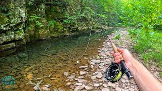 Fly Fishing a Small Creek with a Big Fish Brook Trout