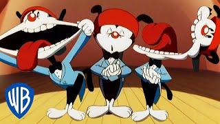 Animaniacs  The Burpee Song  Classic Cartoon  WB Kids