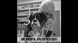 Max Bemis & The Painful Splits - The Painful Splits Destroy FULL ALBUM 2011