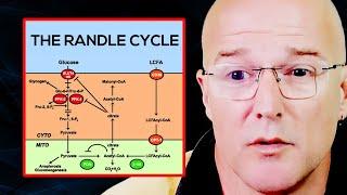 The Randle Cycle Explained DONT Mix These Nutrients  Prof. Bart Kay
