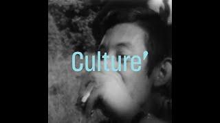Michel Simon et Serge Gainsbourg Lherbe tendre  Archive INA - #CulturePrime