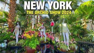 NYBG The Orchid Show 2024 in Bronx New York City  New York Botanical Garden Tour